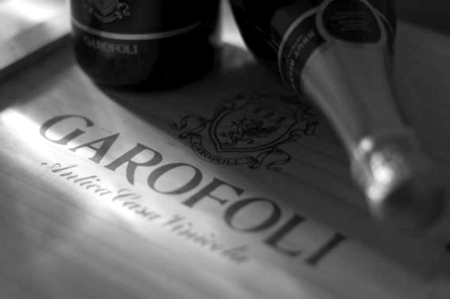 Visita all’azienda vinicola Garofoli